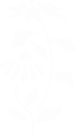 bottom-right